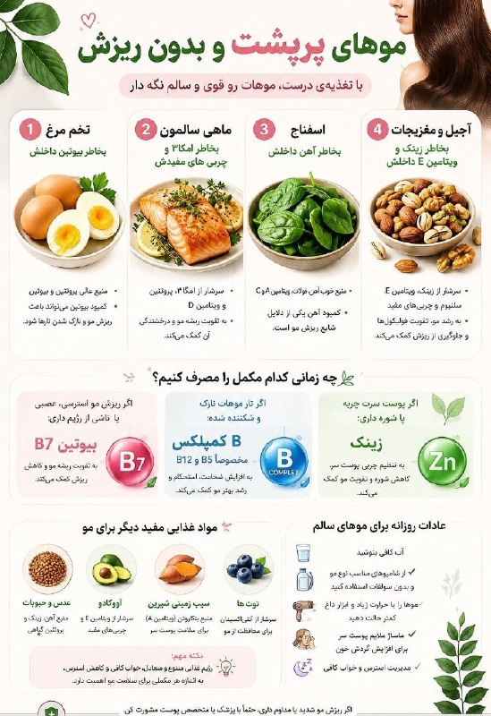 رویدادهای وزارت آموزش و پرورش: برای داشتن موهای پرپشت و بدون ریزش، باید چند نکته را رعایت کنیم؛🔗 @khabarvezarat