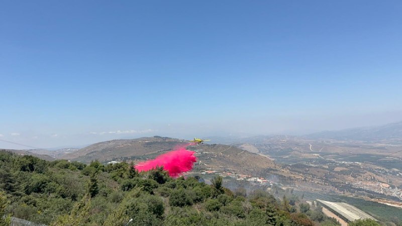 גיא ורון