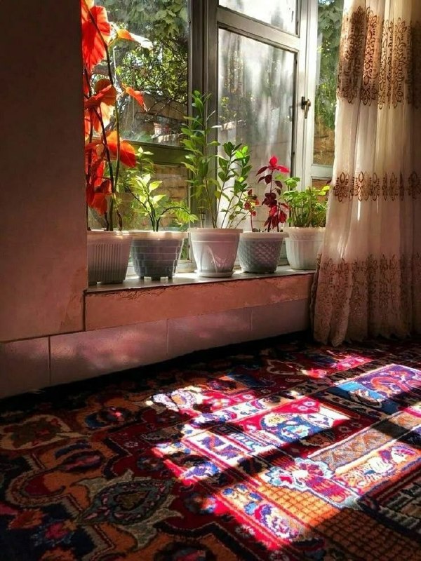 🌹👌سخنان ناب و پند آموز👌🌹: حضرت مولانا جلالالدین:هر جا که باشی و در هر حال که باشی، جهد کن تا محب باشی و عاشق باشی. و چون محبت ملک تو شد، همیشه مح