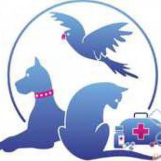 Surxondaryo veterinariya xizmati