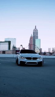 https://t.me/bmw_mpower_club