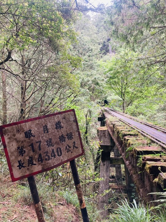 眠月線到水漾森林-初次見面