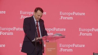 Polish Foreign Minister Sikorski:
