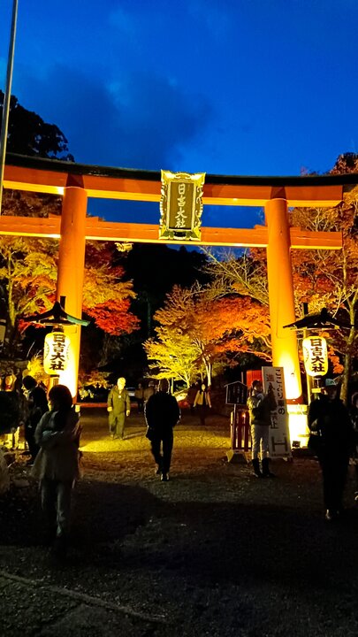 滋賀縣日吉大社賞楓記