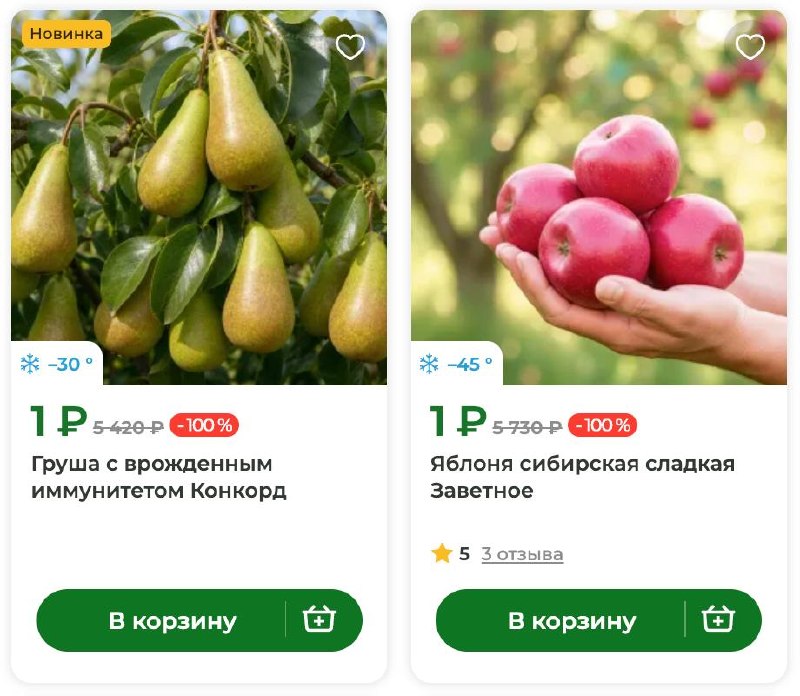 Не спрашивайте, зачем я искала саженцы.