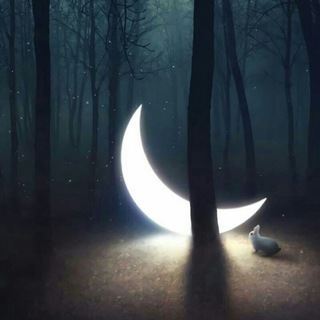 Jungle Secrets Telegram Group Link