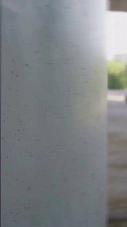 https://t.me/bmw_mpower_club