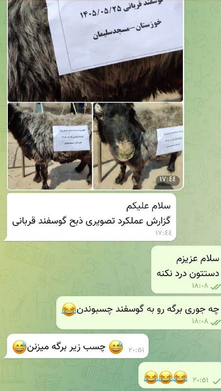 کانون ازدواج متدینین راه روشن: قربانی انجام شد در منطقه محروم مسجد سلیماناز همگی قبول باشه @mahdiejamoliقربانی انجام شد در منطقه محروم مسجد سلیماناز هم