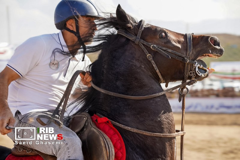 📷 The Fifth National Conference of Iran's Elite Equestrian Show.