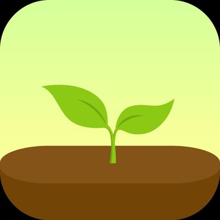 Forest App Study 🌲❤️ Group Telegram Group Link
