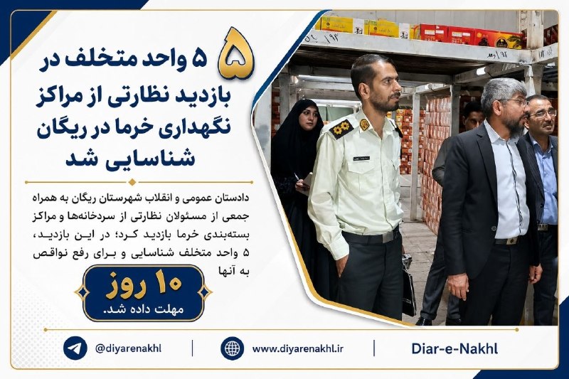 راه آرمان کرمان: 🔻۵ واحد مختلف در بازدید نظارتی از مراکز نگهداری خرما در ریگان شناسایی شددادستان عمومی و انقلاب شهرستان ریگان به همراه جم