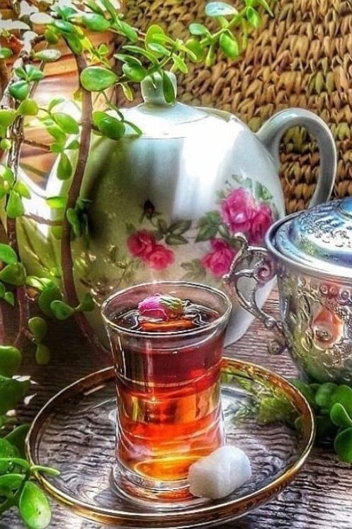 🚫ورود ممنوع🚫: 💕در این عصر زیبای شهریور 🌸يہ دنيا سلامتی💕يہ قلب تپنده 🌸يہ عالمہ مهر و نيڪي💕آرزومندم 🌸زندگیتون 💕پر از عطر و مهربانی 🌸عصرت