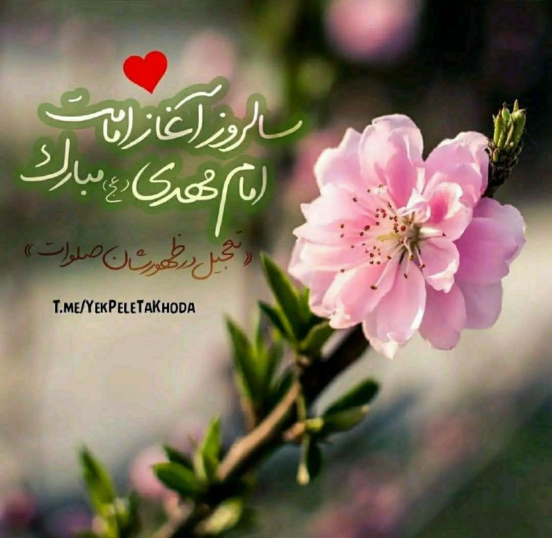 ۞یک پله تا ملاقات خدا۞: 🌹 @YekPeleTaKhoda🌼 آدرس امام زمان (عج) 🌼از علامه حسن زاده پرسیدند: آدرس امام زمان (عج) کجاست؟ کجا می شود حضرت را پیدا کر