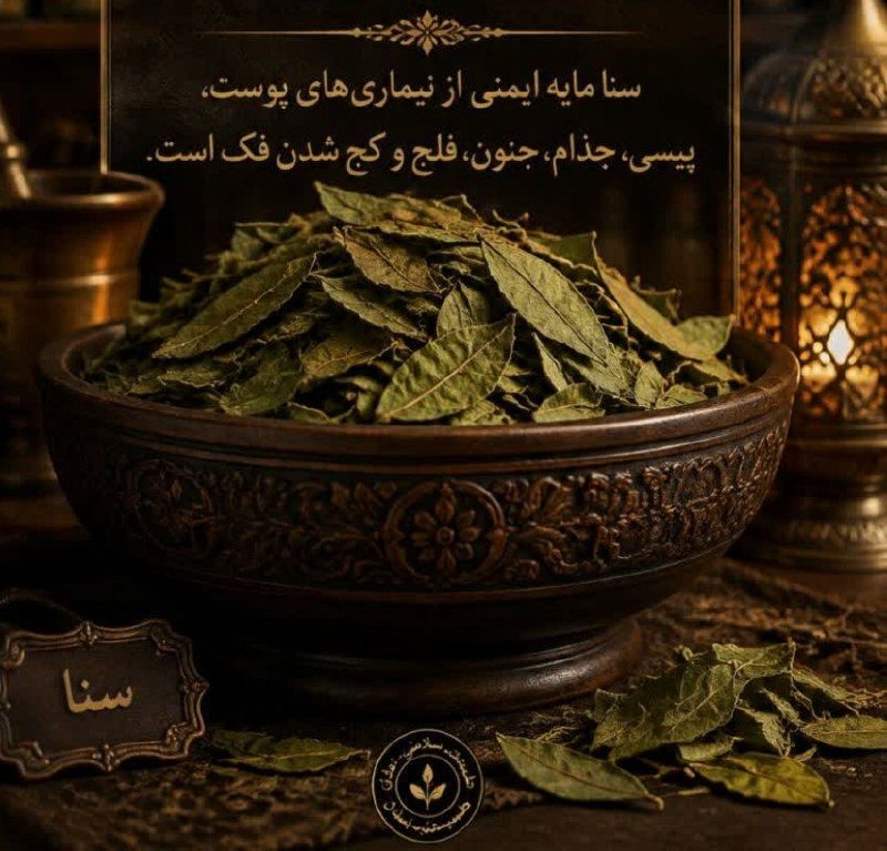 طب اسلامی: «اگر مردم می‌دانستند در گیاه سنا چه فوایدی نهفته است، هر مثقال آن را با دو مثقال طلا معاوضه می‌کردند.»🌿 سنا؛ محافظی قدرت