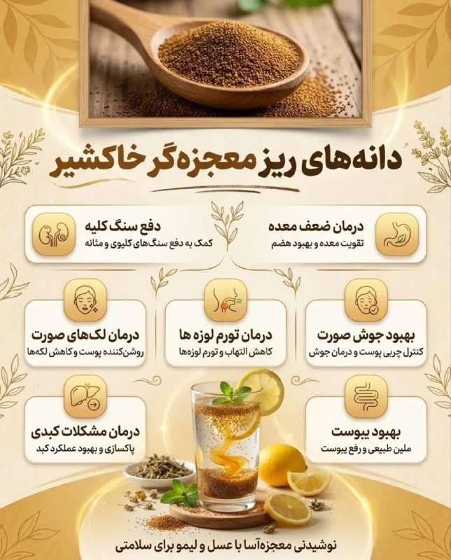 ️️️️🌐 اخبار آستارا 🌐: دانه های ریز معجزه گر خاکشیر@astaranews