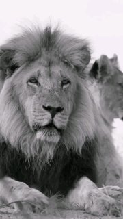 Автозапчасти для иномарок в Сочи - sochiautoparts.ru