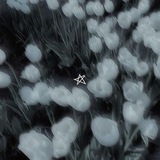 ˚⋆୨୧ MP CONFESSION ୨୧⋆˚