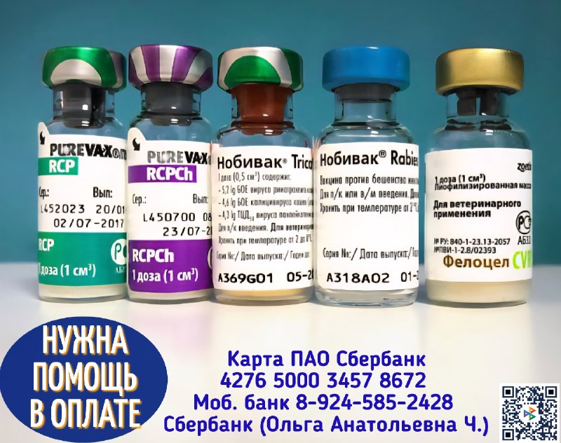 Друзья, нам необходимо закупить партию вакцины, чтобы...