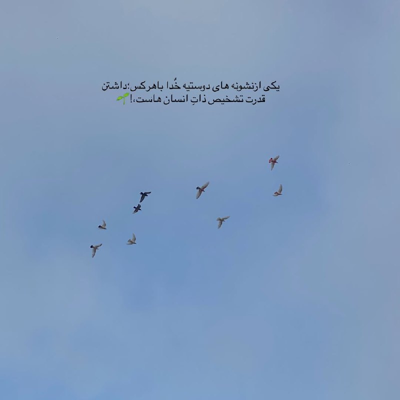 ژلوفن | gelofen: 🤝@gelofen | ژلـــوفـن