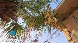 השפעות התוקפנות הסעודית על מישור נינוה.