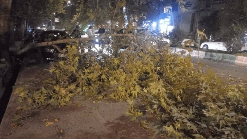اخبار مازندران: ♦️ترافیک سنگین براثر سقوط درخت در مرکز مازندران🔹️ سقوط یک اصله درخت در بلوار امیرمازندرانی شهر ساری موجب ایجاد ترافیک سن