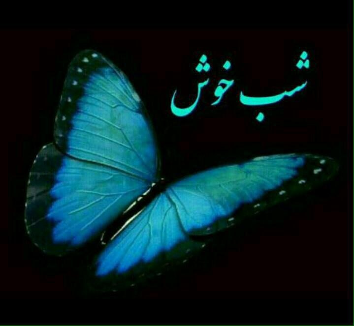 🍃🌼زندگی با الله زیباست🌼🍃: ✨🌙اﯾﻤﺎﻥ ﺩﺍﺭﻡﮐﻪ ﻗﺸﻨﮕﺘﺮﯾﻦ ﻋﺸﻖ نگاﻩ ﻣﻬﺮباﻥ ﺧﺪﺍﻭﻧﺪ ﺑﻪ ﺑﻨﺪﮔﺎﻧﺶ ﺍﺳﺖ!ﺯﻧدﮔﯽ ﺭﺍ به ﺍﻭ ﺑﺴـﭙﺎﺭﻭ ﻣﻄﻤﺌﻦ ﺑﺎﺵ ﮐﻪ ﺗﺎ ﻭﻗﺘﯽ ﮐﻪ ﭘﺸﺘﺖﺑﻪ ﺧﺪﺍ