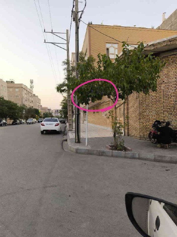 پیام های مردم مشهد: #الو_اخبار_مشهد 🔸️پنهان شدن تابلو توسط درختان در خیابان فلاحی ۳۸، کوچه سنجرانی ۱۱پیام های ارسالی تان را اینجا ببینید 👇@p