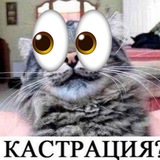 Подполье Артива 👀👀👀👀