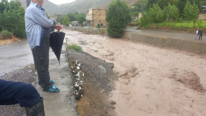 {ایدلیک}دیروز،امروز،فردا: پس از باران امرروز ایدلیک @idalikپس از باران امرروز ایدلیک @idalik