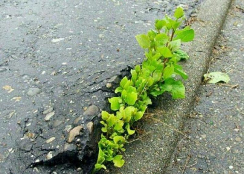 پولسازی: •اهل رشد که باشی ، شرایط واست بی معناست🌱💰💰 @ppolsazi