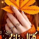 🌸🍃نازلی 🌸🍃