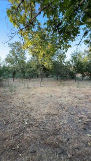 Ideal option for business and investment. House 22 sotok 15 km from Tashkent