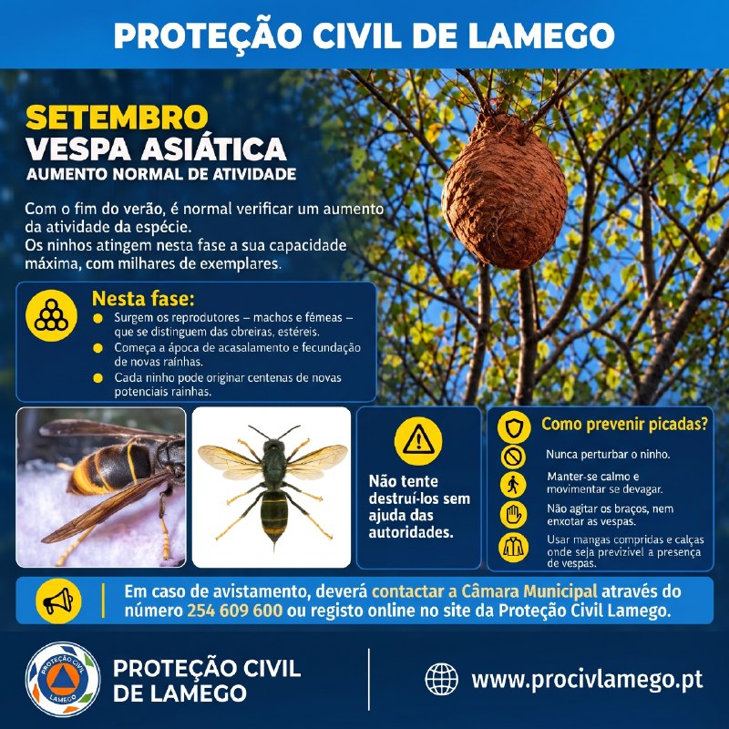 Aviso PROCIV Lamego