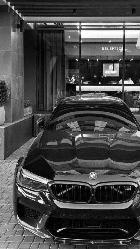 https://t.me/bmw_mpower_club