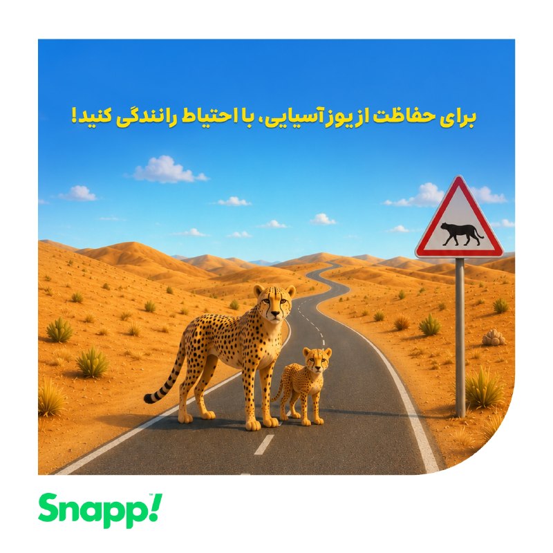 Snapp | اسنپ: برای حفاظت از یوز آسیایی، با احتیاط رانندگی کنید!💚🐆🚗 محور میامی-عباسآباد در استان سمنان از دل یکی از مهمترین زیستگاهه
