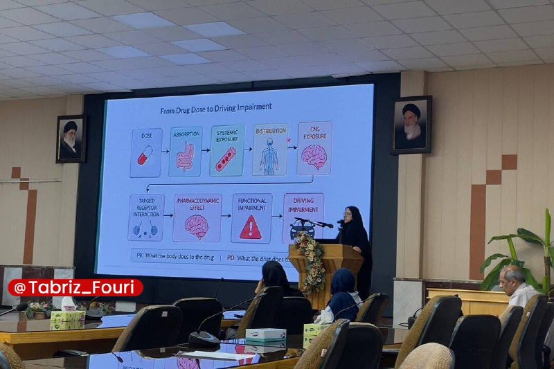 تبریز فوری: کاهش تصادفات با آموزش کادر سلامتدبیر علمی برنامه کشوری «داروها و ایمنی ترافیک» اعلام کرد:🔹مصرف برخی داروها نقشی پنهان در