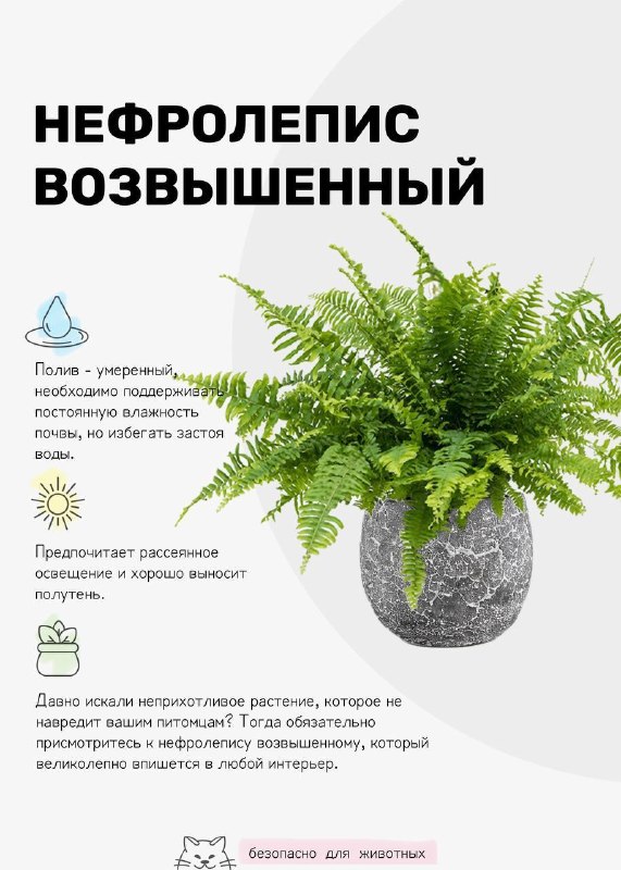  | Декор Интерьер Дизайн - изображение 3 - 