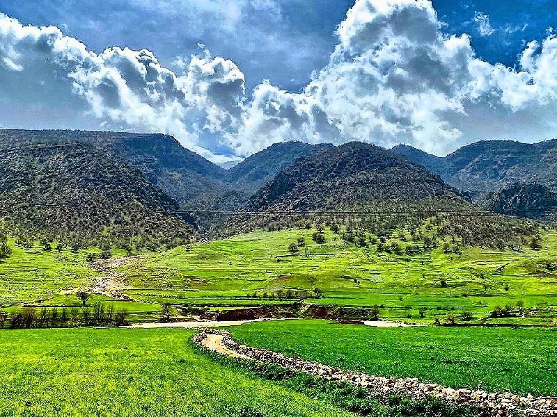 ایلام بیدار: 📸 گزارش تصویری طبیعت زیبای روستای سفیدخانی سیروان🌿 قاب‌هایی از طبیعت بکر، سرسبزی و چشم‌اندازهای زیبای روستای سفیدخانی در