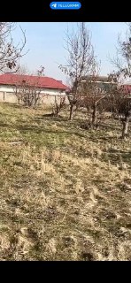 Амир Тимур махаля под строительство