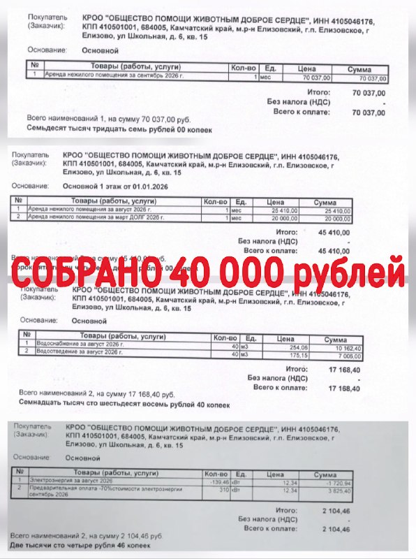 СБОР НА АРЕНДУ ПРОДОЛЖАЕТСЯ‼️
На сегодняшний день...