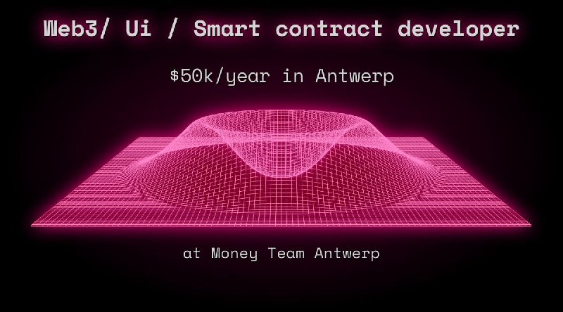 Web3/ Ui / Smart contract developer $50k in Antwerp at Money Team Antwerp