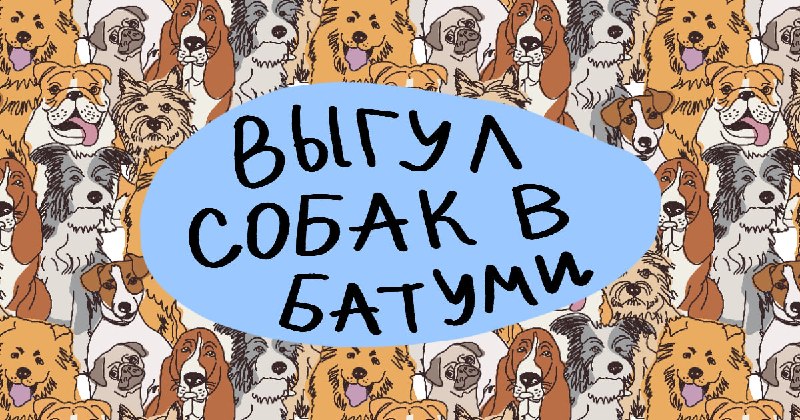 ✨ Всем привет! Меня зовут Лана и я хочу вам помочь выгулять вашу собаку (или даже несколько!) в Бату