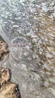 ⚡️В Финском заливе заметили нефтяные пятна и погибших птиц. Местные жители связали это с пожаром в порту Усть-Луга после атаки дронов На пляже в Сосновом бору очевидцы заметили нефтяную пленку на поверхности Финского залива, передают «Осторожно, новости» с