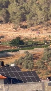 מתנחלים מסתערים על אדמות הכפר אל-מוג'יר, גונבים את העיר ג'נין, שעל אדמותיה מתכוון הכיבוש להקים מאחז התנחלויות.