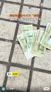 网友：77元“巨款”已归还，严肃批评小猫近日，自贡一网友拜财神后家里天天“长”出零钱，调监控发现是自家猫咪每天偷摸从邻居家叼回来的。该网友回应已联系邻居道歉，77元“巨款”已归还，猫已严肃批评。#热点 #我的财力巅峰时刻 #全世界就是围着猫打转热门评论:▸ 匿名: 现在家里有现金的人家也不多了，难为小猫了▸ 匿名: 财神： 你就说你的愿望实没实现吧？[笑哭R][笑哭R][笑哭R]▸ 匿名: 小时候我被打，肯定也是邻居家的猫干的好事▸ 匿名: 招财猫▸ 匿名: 孩子也是想方设法养你了[偷笑R]