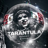 TΛRΛNTULY
