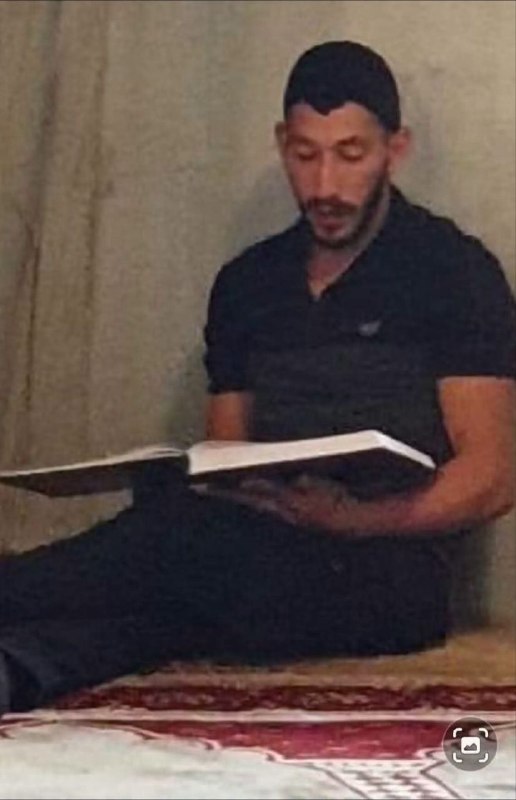 אור רביד