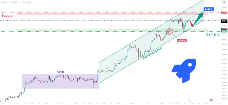 Trading view ideas
