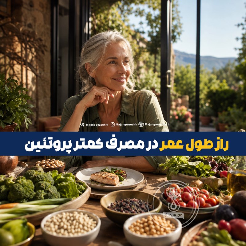 دکتر خودمان باشیم: راز طول عمر در مصرف کمتر پروتئین!◽️پژوهشهای جدید نشان میدهند که مصرف بیش از حد پروتئین لزوماً به معنای سلامت بیشتر نیس