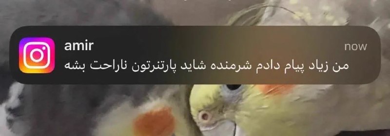 شاعر کسشر: تپیکال پسرا وقتی میخوان مطمئن شن سینگلی:• @iShaerr